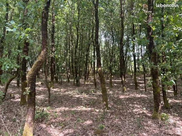 Terrain 3 656 m² Talais