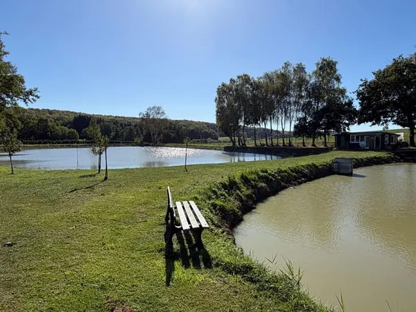 Terrain 11633 m²