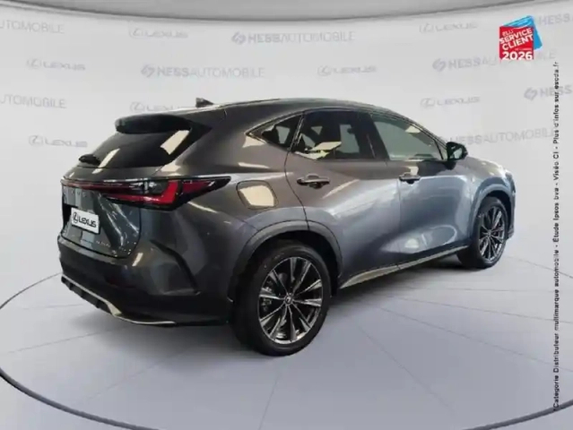 Lexus Nx 450h+ f sport executive 4wd my24 — photo 6