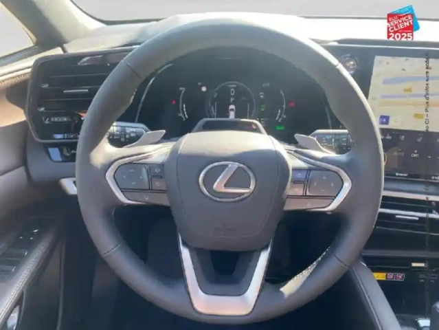 Lexus Rx 450h+ luxe 4wd my24 — photo 12