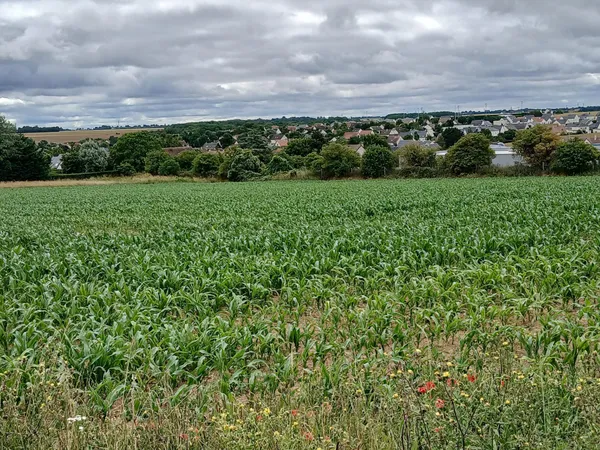 THAON. Faire vite, dernier terrain.430 M².95000 €.