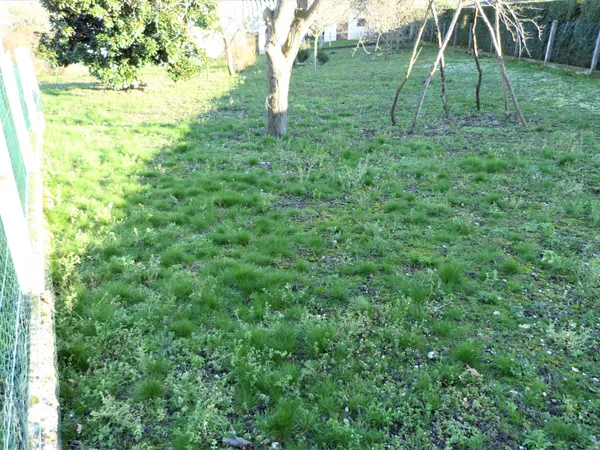 Terrain en individuel 730 m²