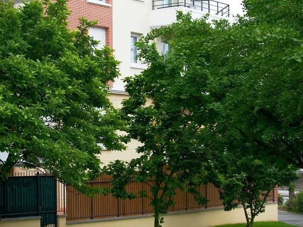 Appartement 1 pièce 30 m²