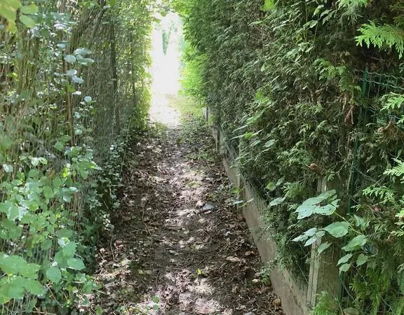 Terrain 1000 m²