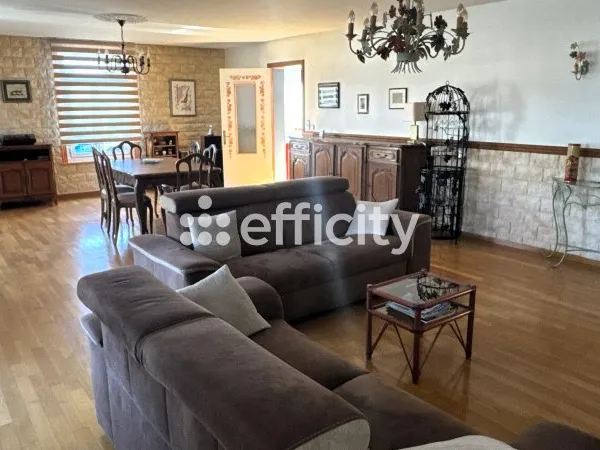 Maison 7 pièces 255 m²