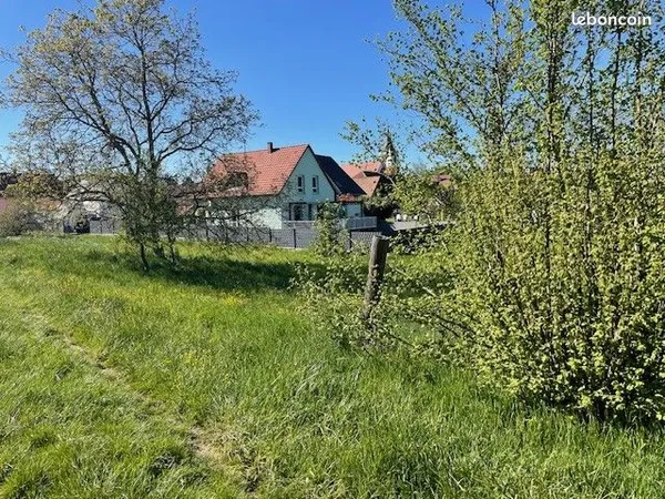 Terrain à bâtir de 12 ares - Westhouse-Marmoutier