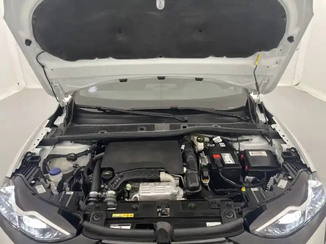 Ds Ds 3 ds3 crossback puretech 100 bvm6 — photo 52