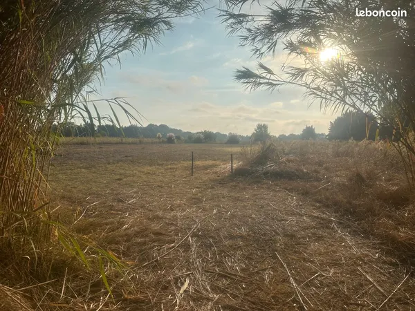 Terrain agricole