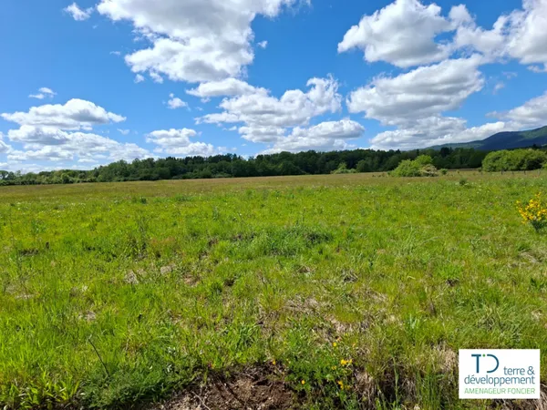 Terrain en individuel 438 m²