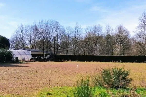 Terrain viabilisé à vendre - 900 m² & 1000 m² - St Philbert du Peuple 49160