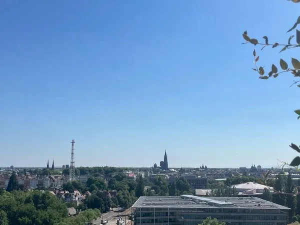 VUE IMPRENABLE SUR LES TOITS DE STRABOURG