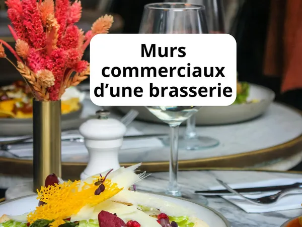 VENDS MURS COMMERCIAUX 243M2 D'UNE BRASSERIE