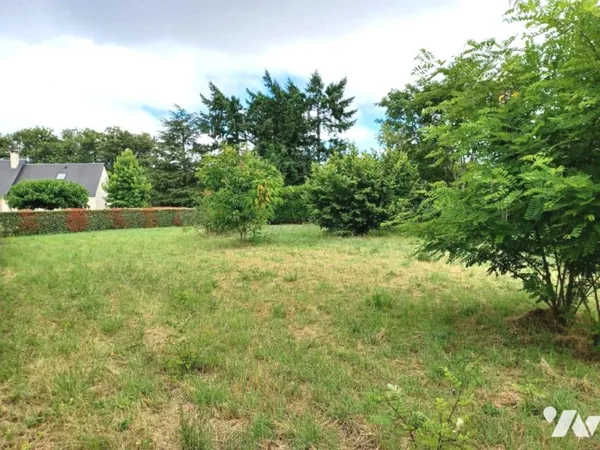 Terrain 1640 m²