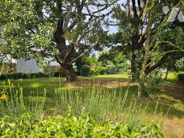 Terrain 447 m²