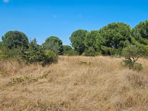 Terrain de loisir