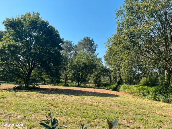 Terrain pro viabilise - 846 m² - azur