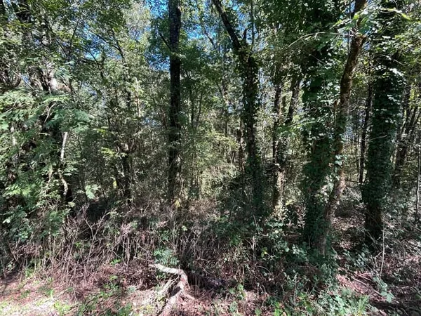 Terrain 15000 m²