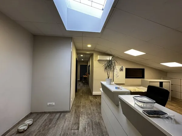 Local commercial 294 m²