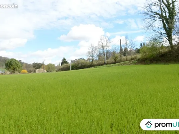 Terrain 3 672 m² Campsegret