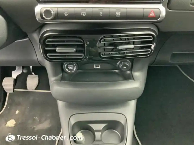 Citroën C4 cactus puretech 110 s&amp;s bvm6 shine — photo 13