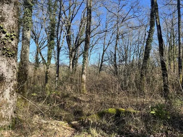 Terrain 12950 m²