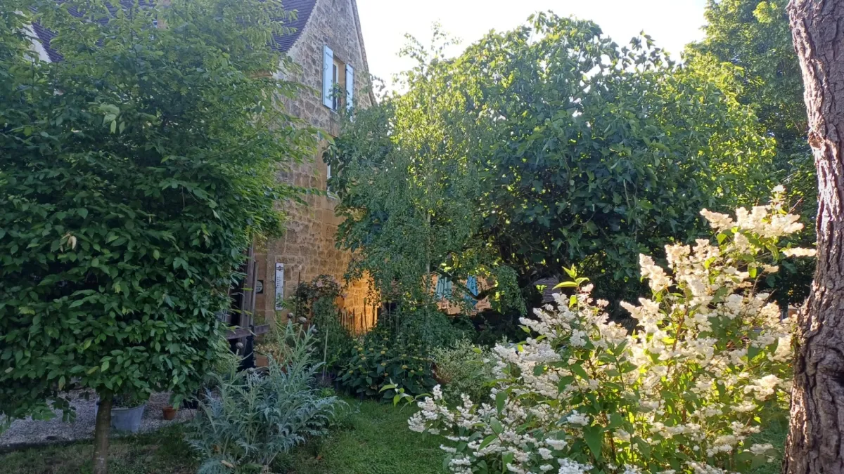 Photo 17