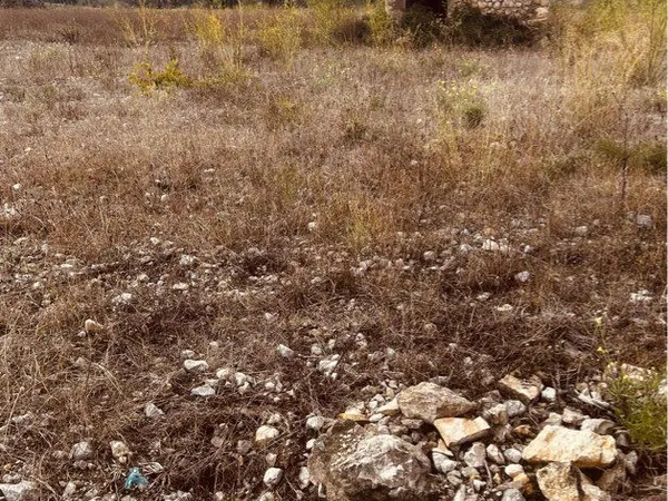 Terrain Laval