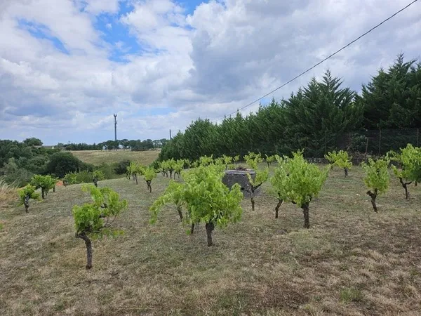 Terrain 1150 m²