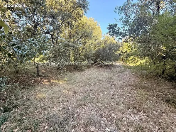 Terrain 2003 m² Saint-Martin-de-Pallières
