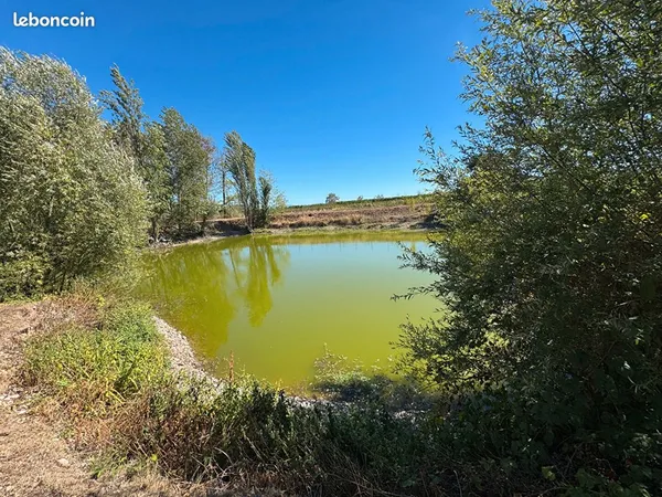 Terrain 3133 m² COLMAR