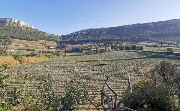 Cassis - Exclusivité - Maison avec studio indépendant & garage