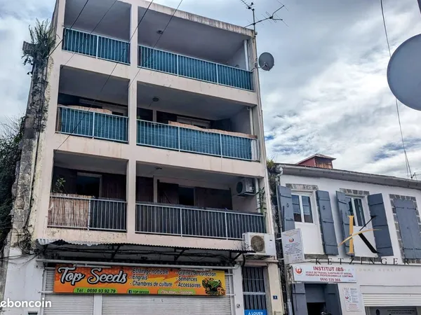 Immeuble de rapport 365 m²