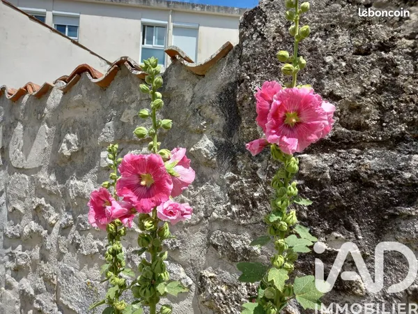 Terrain 232 m² Saujon