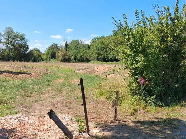 Terrain jardin