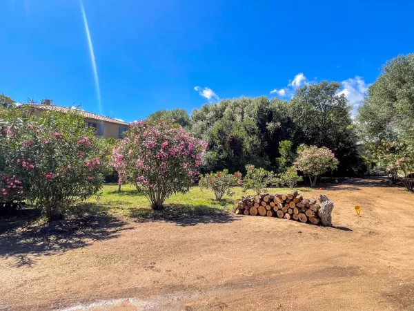 Terrain 525 m²