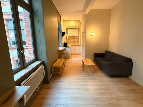 Studio bis meublé - 31m2 à louer en centre ville