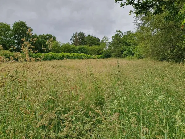 Terrain 476 m²
