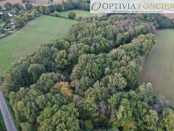 Terrain forestier de 9 974 m2 situé à Guignen