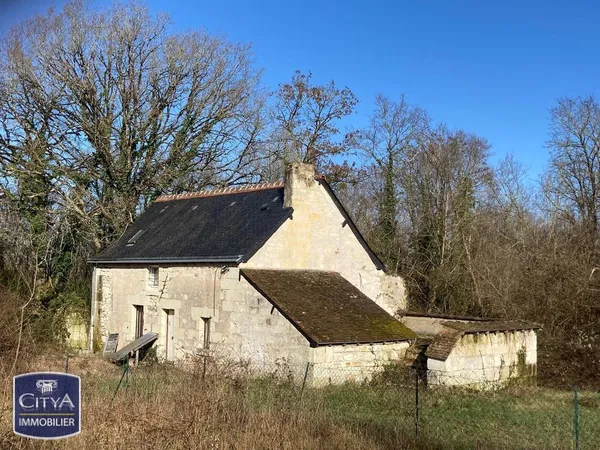 Maison Vente Rigny-Ussé 2p 80m² 77000€