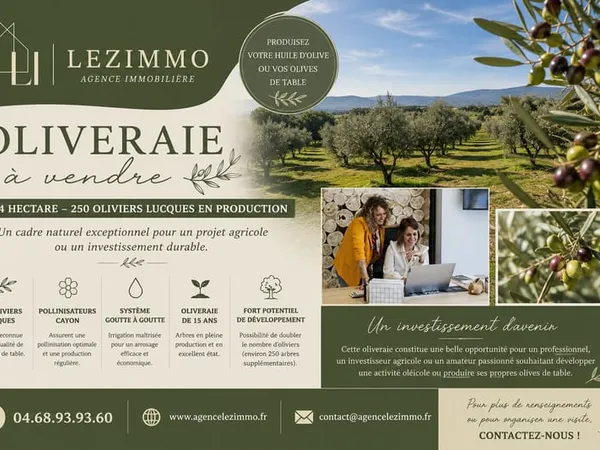 Oliveraie de 1,04 hectare avec 250 oliviers Lucques en production