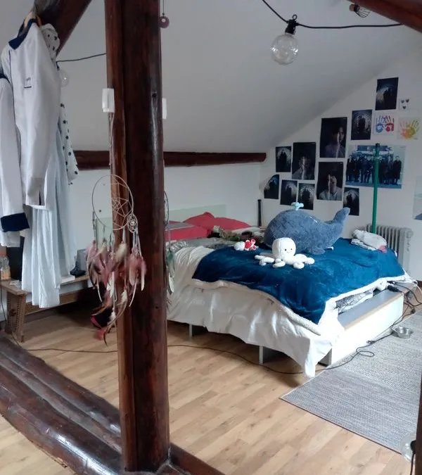 Photo 3