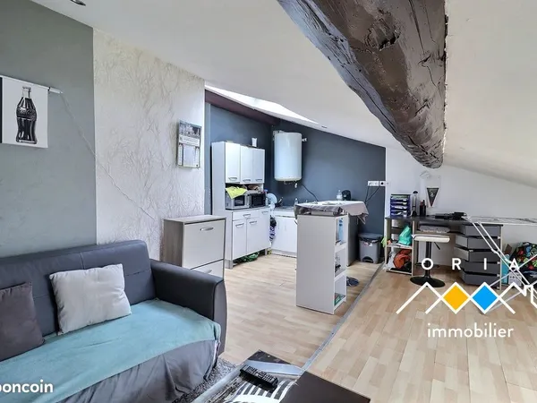 Appartement 1 pièce 42 m²