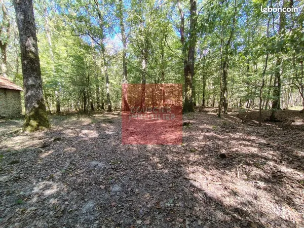 Propriété 1 pièce 35 m²