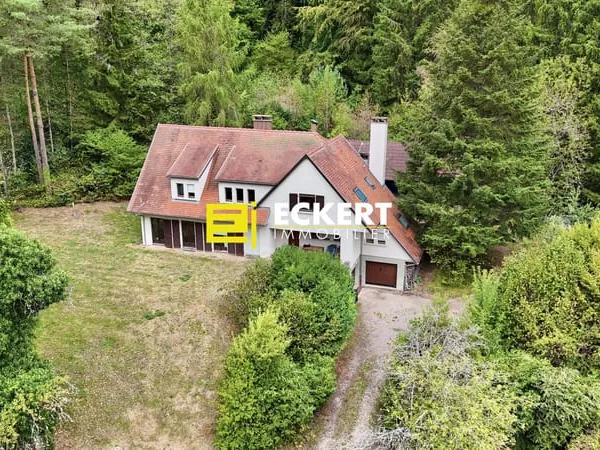 KLINGENTHAL - PROPRIÉTÉ D'ENVIRON 222 M² SUR ENVIRON 65 ARE