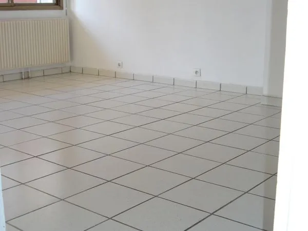 T2 43 m2 Jardin des Plantes Grand Rond