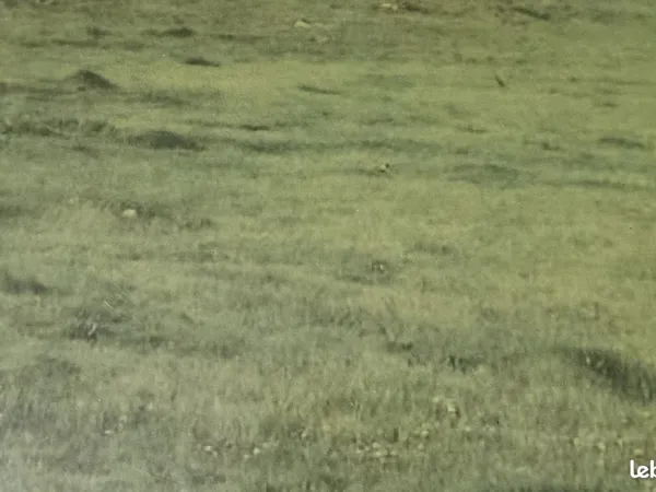 Terrain agricole