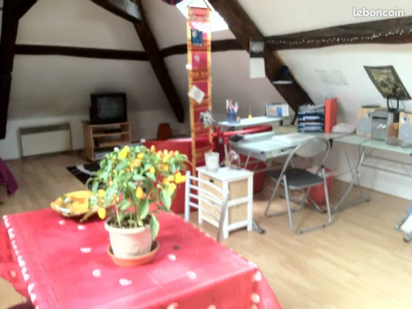Studio loft meublé Poitiers centre ville