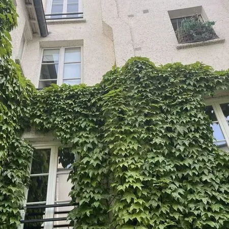 Restaurant 92 m² Paris
