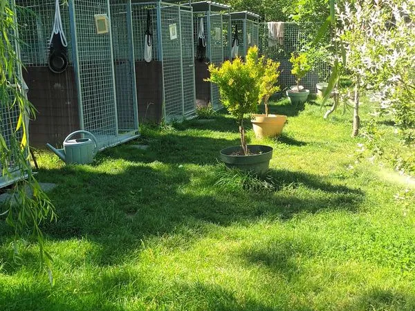 Vend terrain agricole