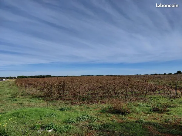 Terrain 3315 m² Vauvert